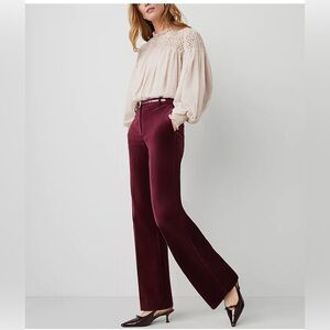 Ann Taylor The Jayne Pant - Burgundy Velvet - 00P